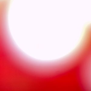 Meet your Posher, Audrey